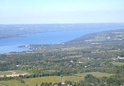 Lansing aerial