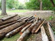logs