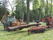 loader lifting logs