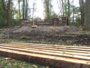 logs on ground