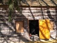 old log cabin, open cabin door, side view with window, shadow of a tree branch on its side, pine dree draping over it