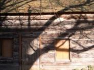 old log cabin, shadow of a tree branch on its side, pine dree draping over it