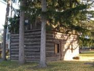old log cabin side view, shadow of a tree branch on its side, pine dree draping over it