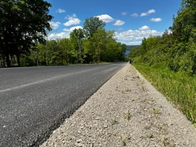 Algerine Road